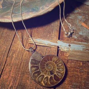 Sterling Silver and Fossilized Pendant
